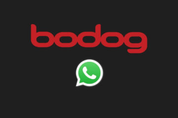 WhatsApp Bodog